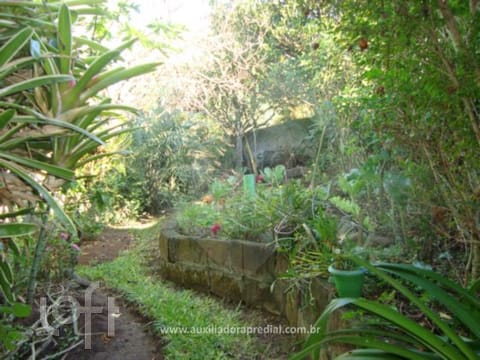 Image 5 - 232384